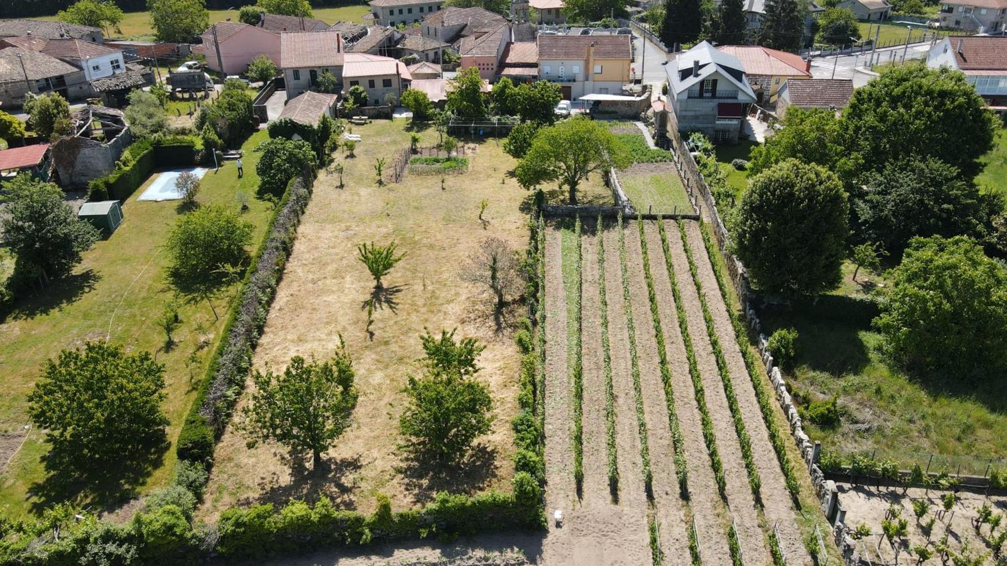 Casa Da Penela Villa Nogueira De Ramuin Eksteriør billede
